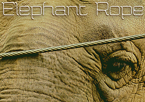 LIT Talent Awards - Elephant Rope
